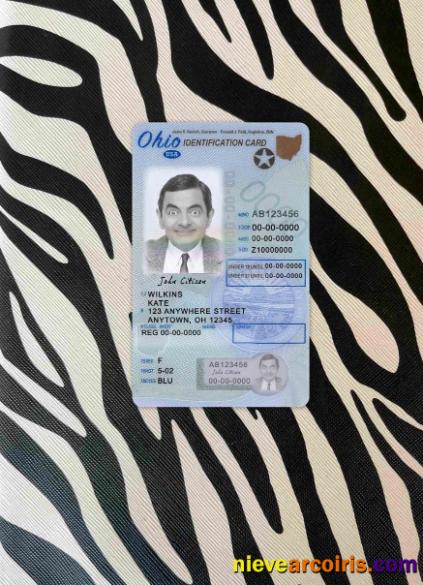 USA Ohio driving license photolook